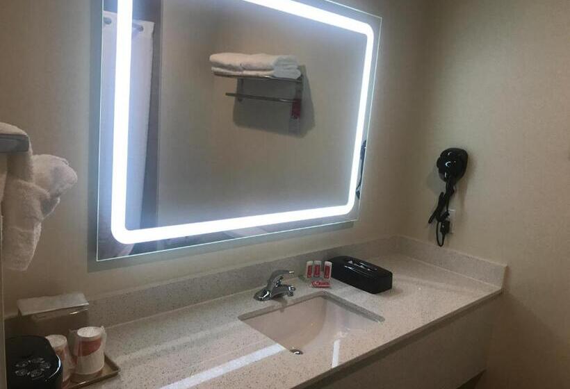 سوئیت با تخت بزرگ, Econo Lodge Inn & Suites Houston Willowbrook
