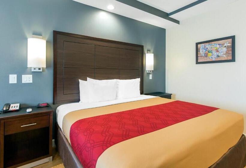 سوئیت با تخت بزرگ, Econo Lodge Inn & Suites Houston Willowbrook