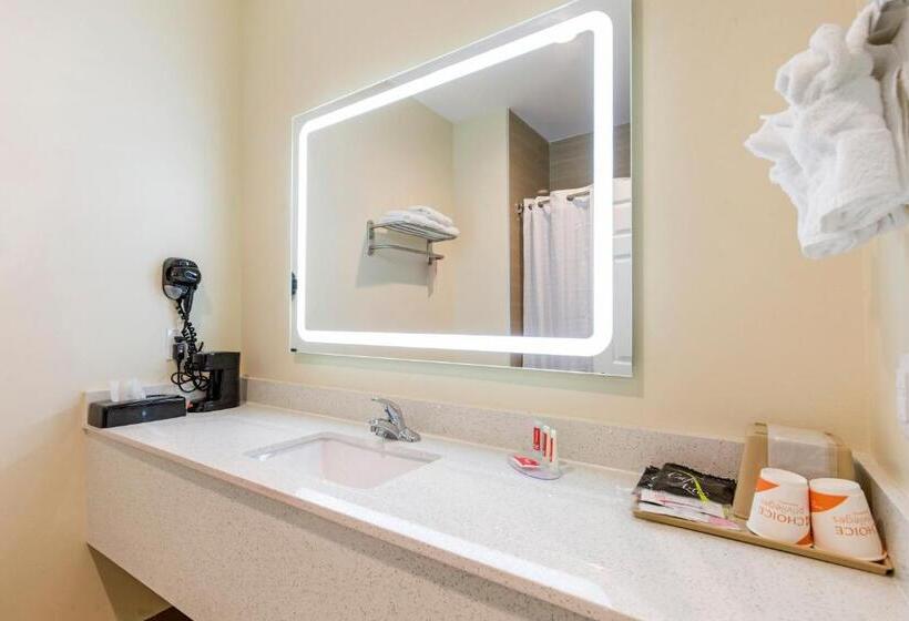سوئیت با تخت بزرگ, Econo Lodge Inn & Suites Houston Willowbrook