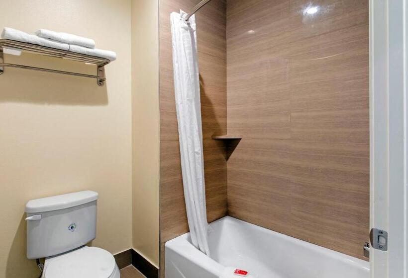 سوئیت با تخت بزرگ, Econo Lodge Inn & Suites Houston Willowbrook