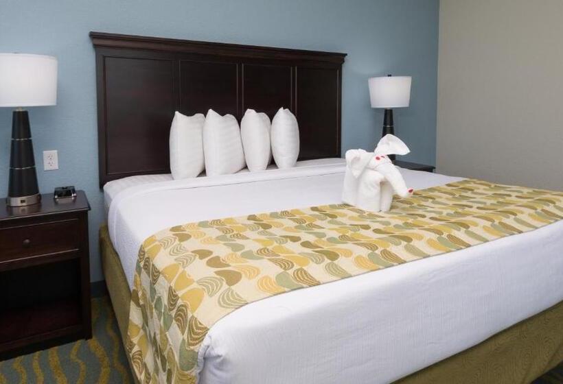 스탠다드 룸 킹사이즈 침대, Edge Hotel Clearwater Beach