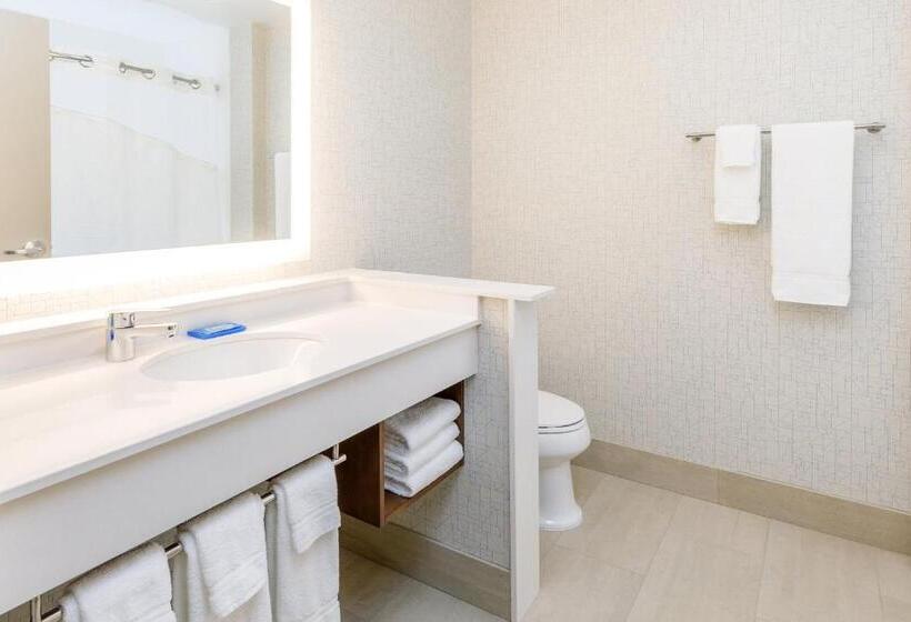 스탠다드 룸 킹사이즈 침대, Holiday Inn Express & Suites   Sturbridge, An Ihg