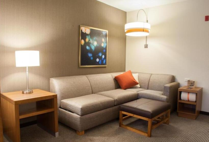Номер Стандарт Верхний Этаж, Hyatt Place Blacksburg/university