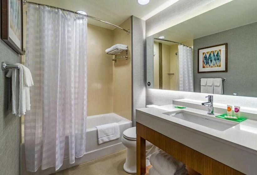 Номер Стандарт Верхний Этаж, Hyatt Place Blacksburg/university
