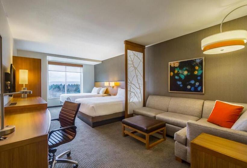 Номер Стандарт Адаптированный для Инвалидов, Hyatt Place Blacksburg/university