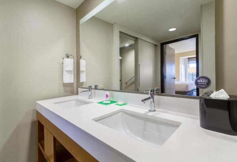 Люкс Кровать Кинг, Hyatt Place Blacksburg/university