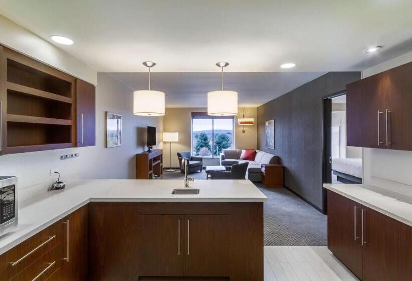 Люкс Кровать Кинг, Hyatt Place Blacksburg/university