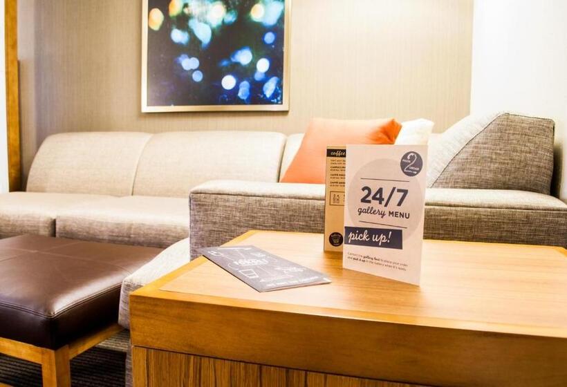Стандартный Номер Кровать Кинг, Hyatt Place Blacksburg/university