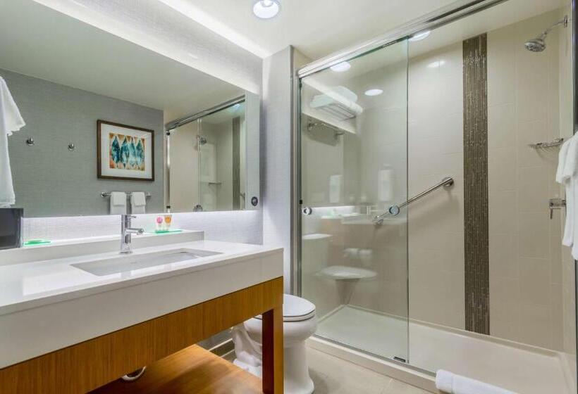Стандартный Номер Кровать Кинг, Hyatt Place Blacksburg/university
