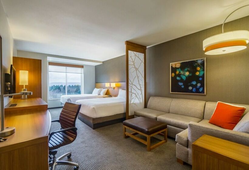 Номер Стандарт Адаптированный для Инвалидов, Hyatt Place Blacksburg/university