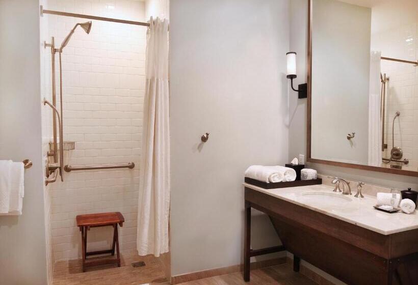 اتاق لوکس با تخت بزرگ, Nopsi Hotel New Orleans