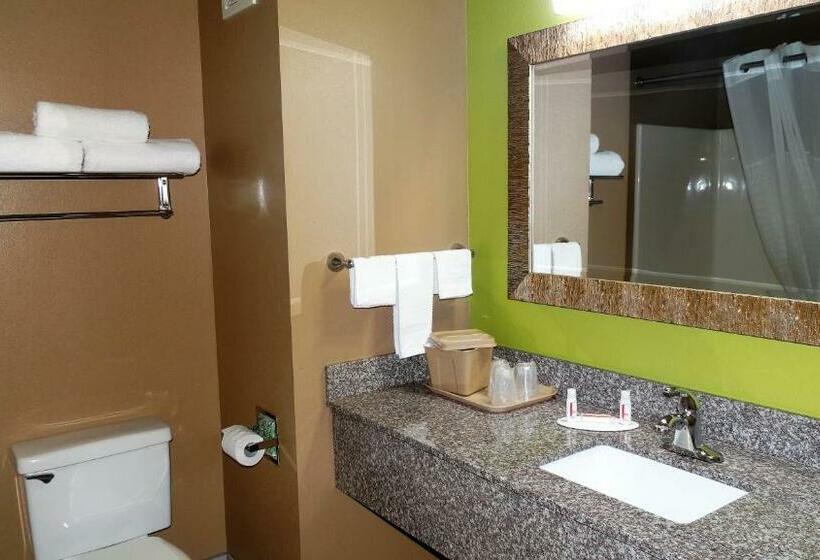 带大床的标准间, Oak Tree Inn & Suites