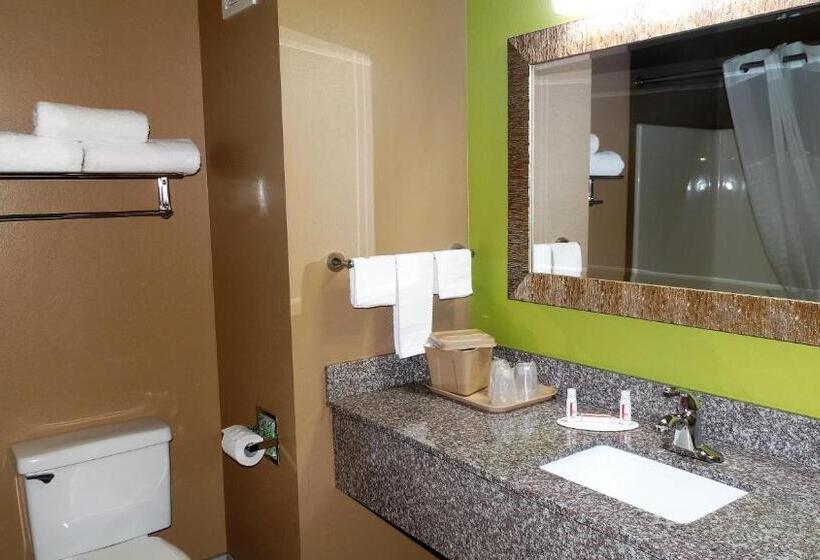 Номер Стандарт, Oak Tree Inn & Suites