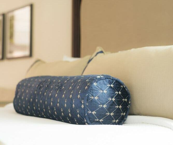 اتاق لوکس, Nopsi Hotel New Orleans