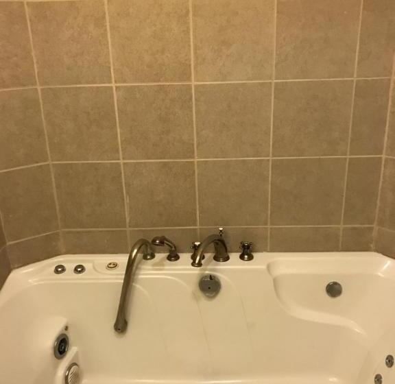 싱글 디럭스 룸, Waterbury Big Apple Motel