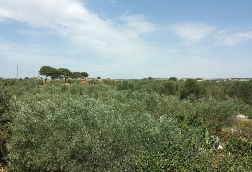 اتاق استاندارد با چشمانداز, Baglio Il Giovinetto