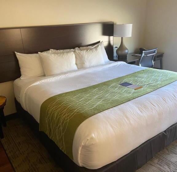 Номер Стандарт Кровать Кинг Адаптированный для Инвалидов, Comfort Inn