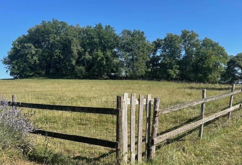Трехместный Номер Стандарт Вид на Сад, Hameau Du Hour   Chambre D Hôtes Et Gîtes