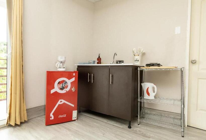 Апартаменты Deluxe 1 Спальня, D Rosas Apartments