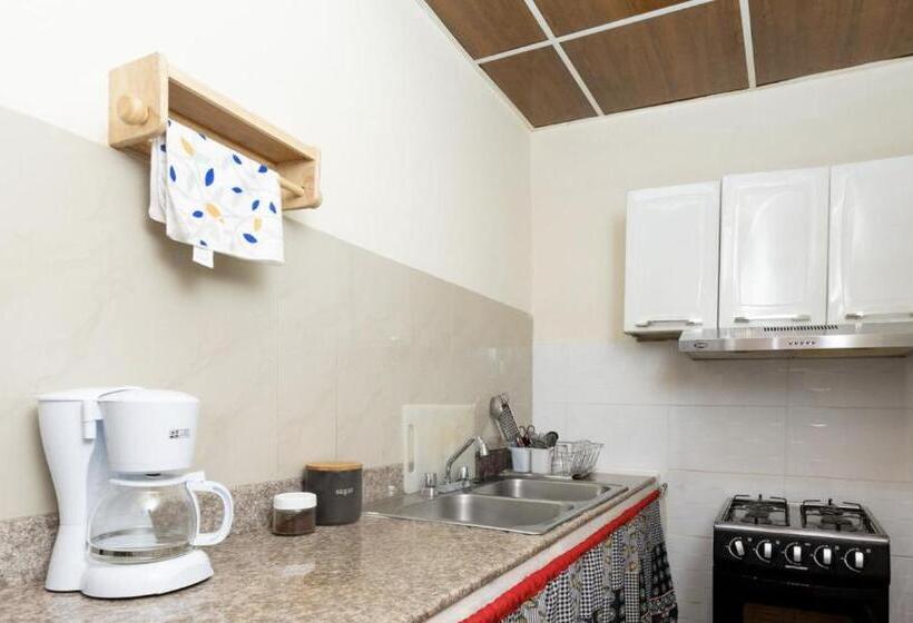 Апартаменты 1 Спальня Нижний Этаж, D Rosas Apartments