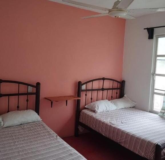 Economy Quadruple Room, Anamaya Hostal
