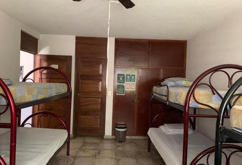 ルームシェアのワンベッド, Hostal Cumbres De El Salvador Escalón