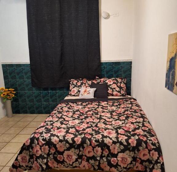 آپارتمان 1 خوابه همکف, Humacao Guest House 2