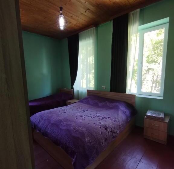 اتاق خانوادگی با چشم‌انداز کوه, Guest House Udziro