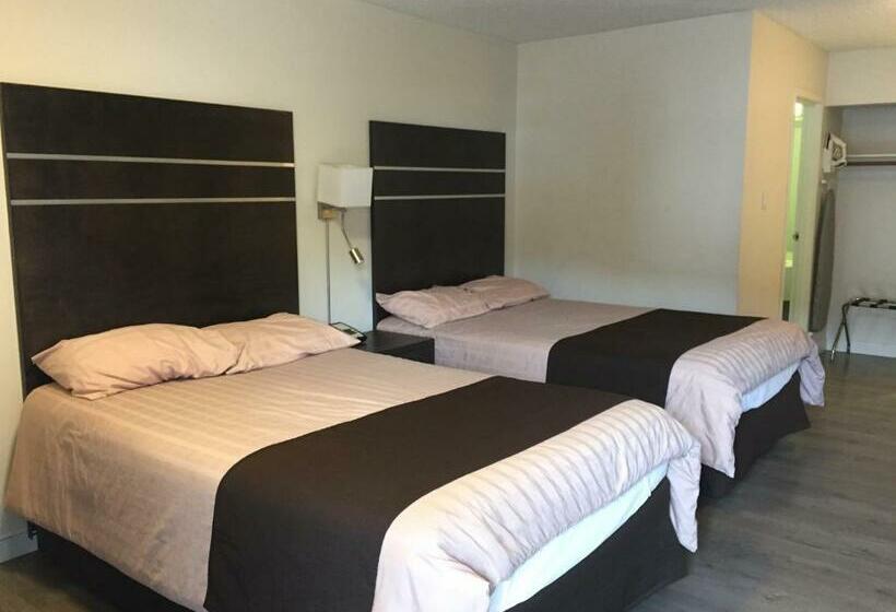 Номер Стандарт, Bear Country Inn