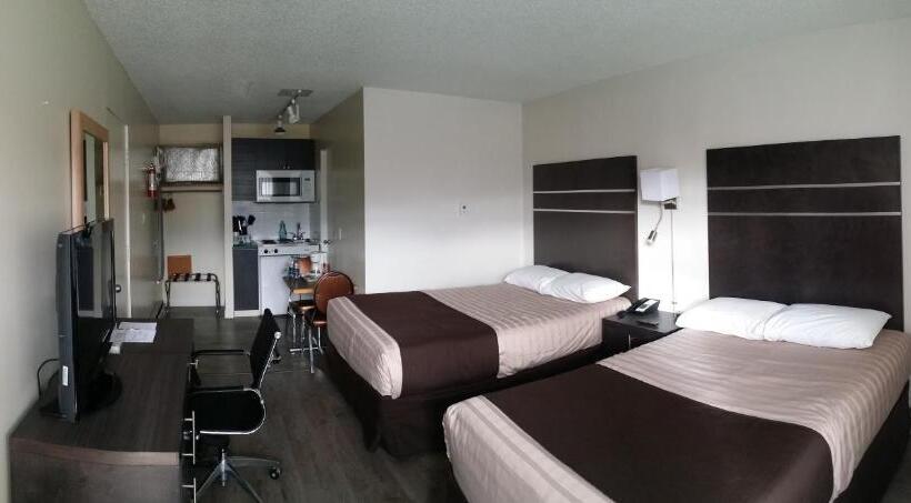 Номер Стандарт, Bear Country Inn