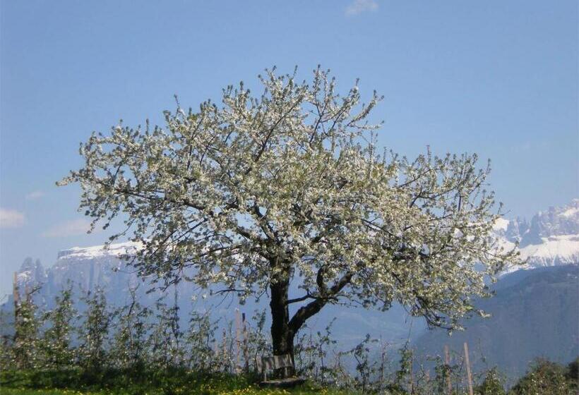 Студия Стандарт, Regalterhof Eppan