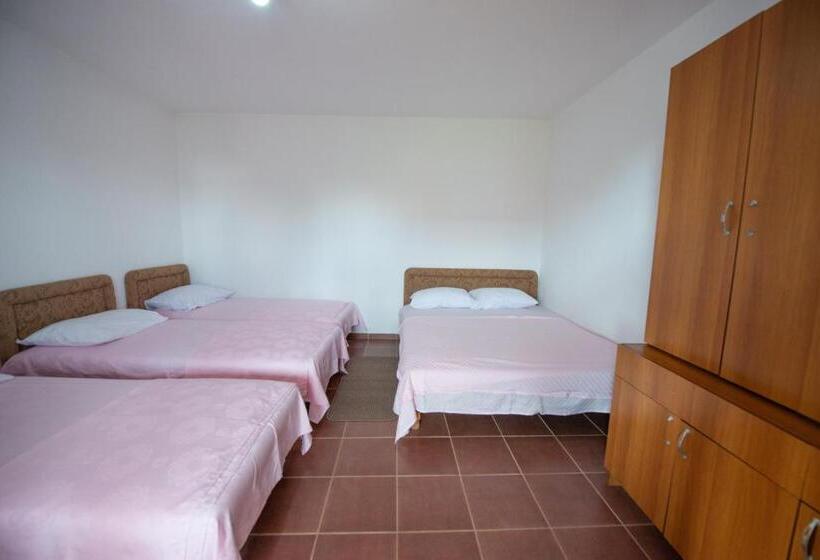 اتاق خانوادگی, Shkreli Apartments
