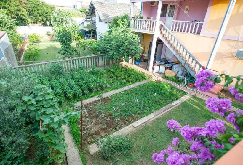 اتاق ساده سه‌ نفره, Shkreli Apartments