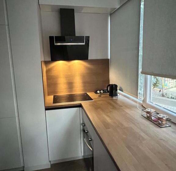 آپارتمان 2 خوابه, Govi Apartment Al Centro Di Tirana