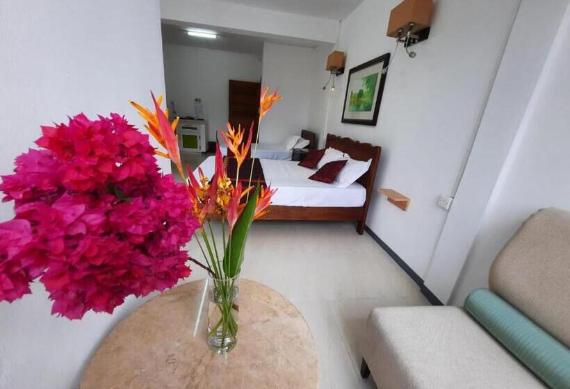 آپارتمان 1 خوابه با چشم‌انداز دریا, Citronella Villa Flic En Flac