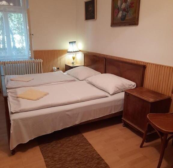 Номер Стандарт, Bendegúz Villa