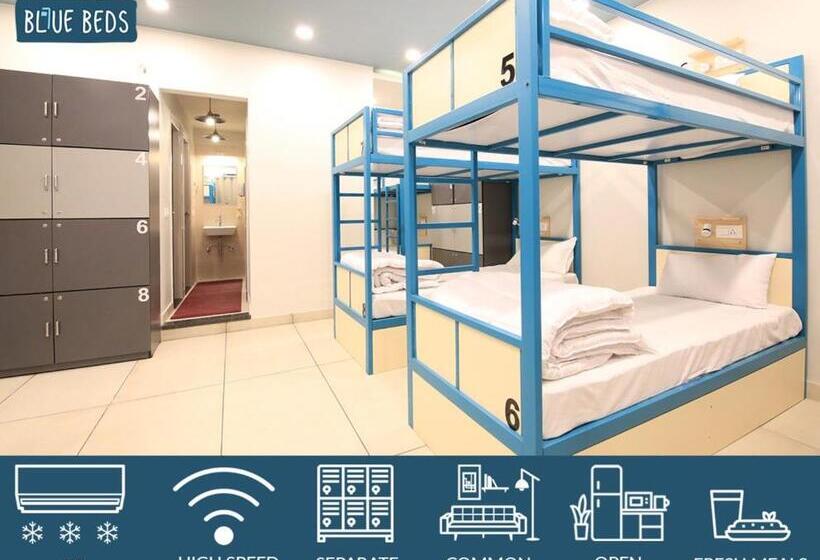 共用房间的床, Blue Beds Hostel