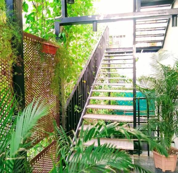 Quarto Estandar, Avea Accommodation