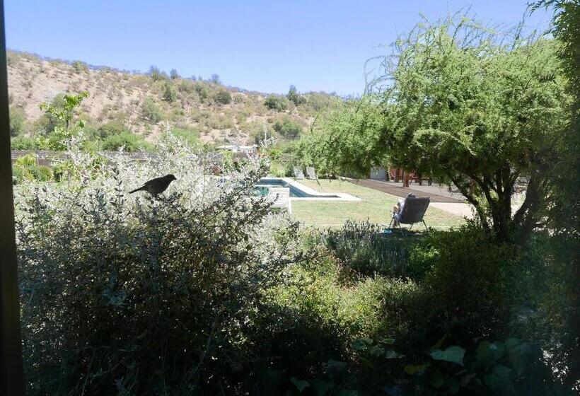 Habitació Estàndard Vista Piscina, Callihue Lodge