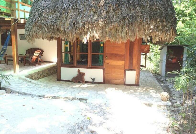 اتاق استاندارد, Posada Del Cerro