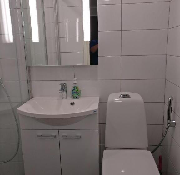 Номер Deluxe, Peltolan Luomutila