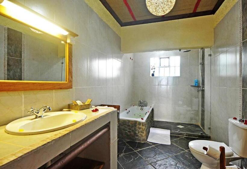 اتاق لوکس با بالکن, Mwanzo Lodge