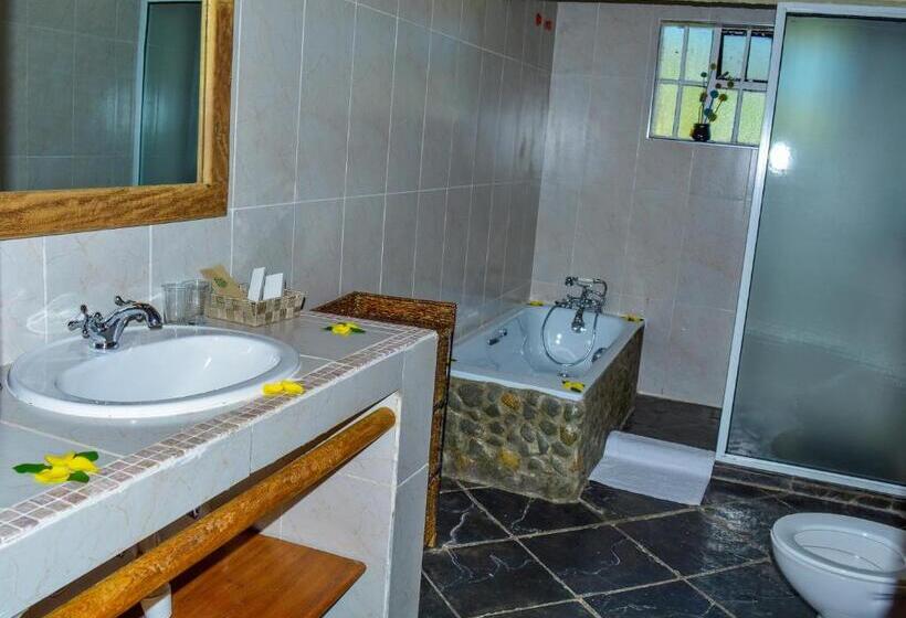 اتاق لوکس, Mwanzo Lodge