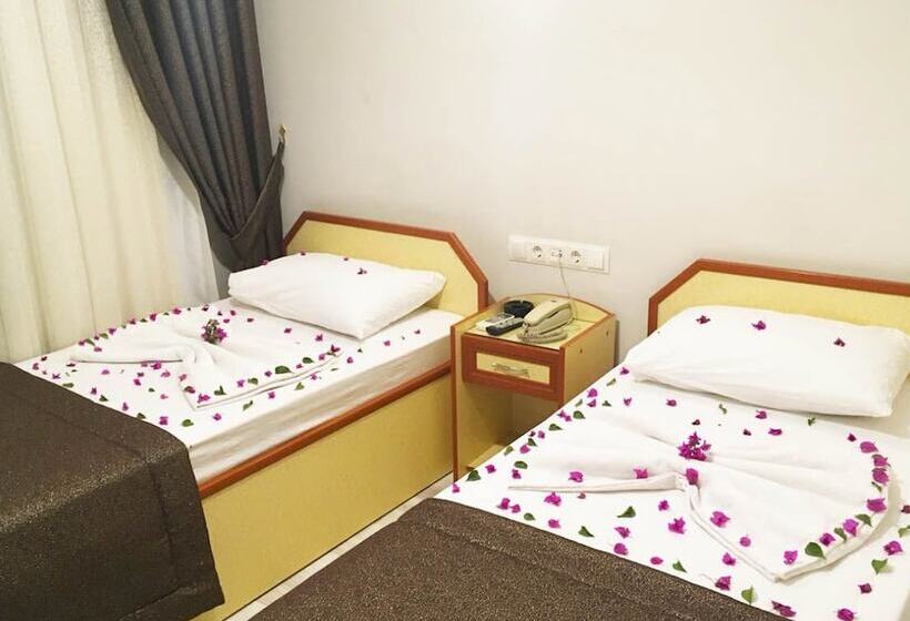 اتاق استاندارد سه نفره, Dostlar