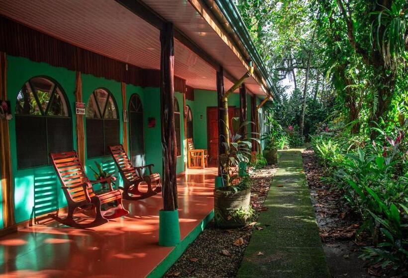 Номер Deluxe, La Palapa Hut Nature Hostel