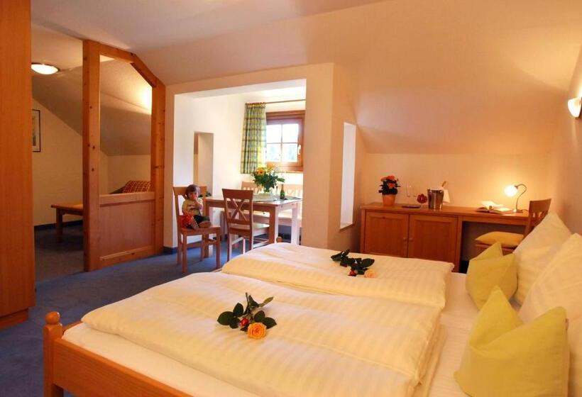 标准工作室, Dachstein West Hotel Gmbh Kirchenwirt Russbach