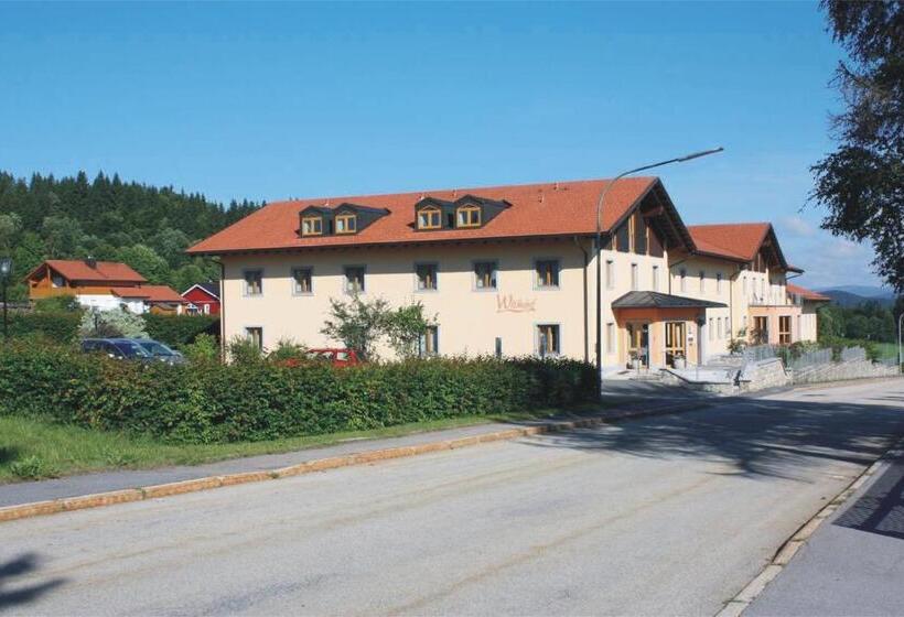 Номер Стандарт, Witikohof
