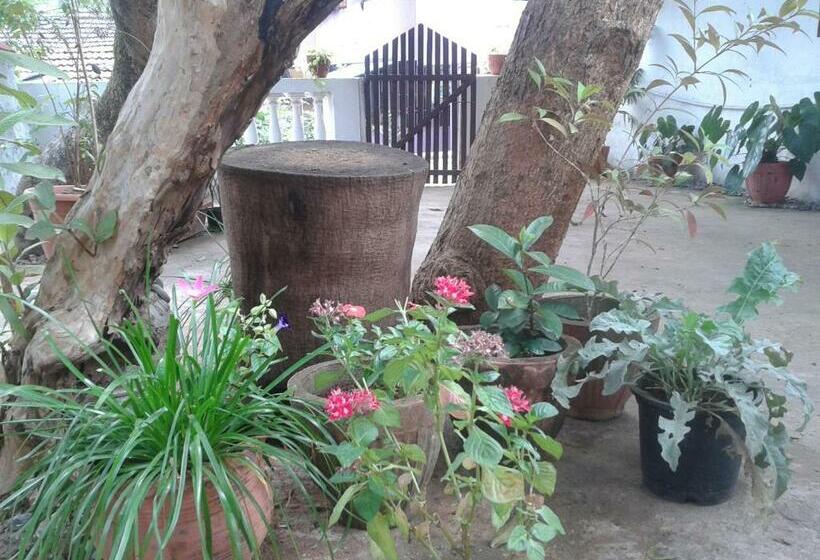 اتاق لوکس, Villa Khatun Guesthouse