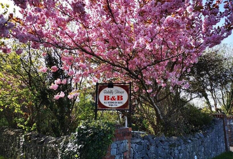 스탠다드 트리플 룸, Balally House
