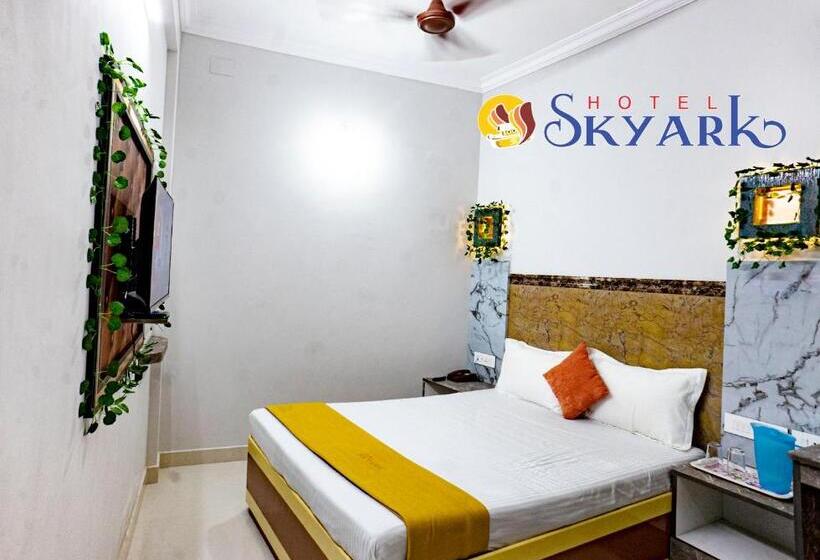 高级大房间, Skyark